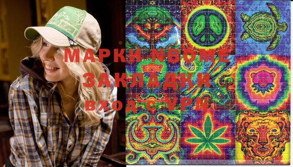 ALPHA PVP Карталы