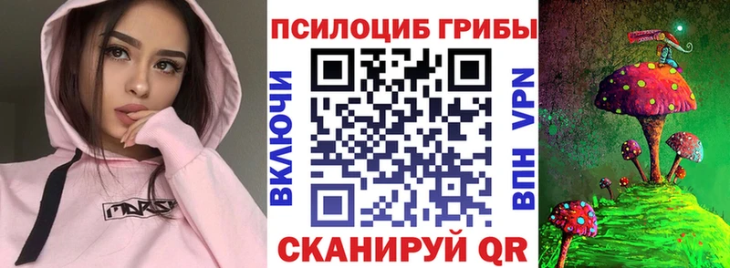 Псилоцибиновые грибы мицелий  Купить закладки  Махачкала 