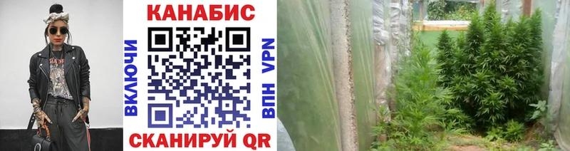 Купить  Махачкала  Каннабис VHQ 